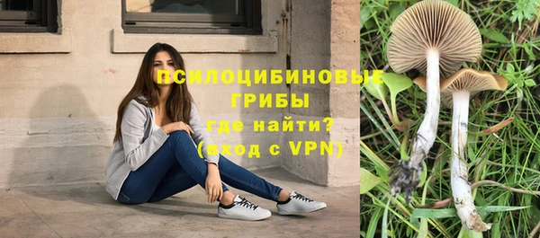 MESCALINE Алзамай